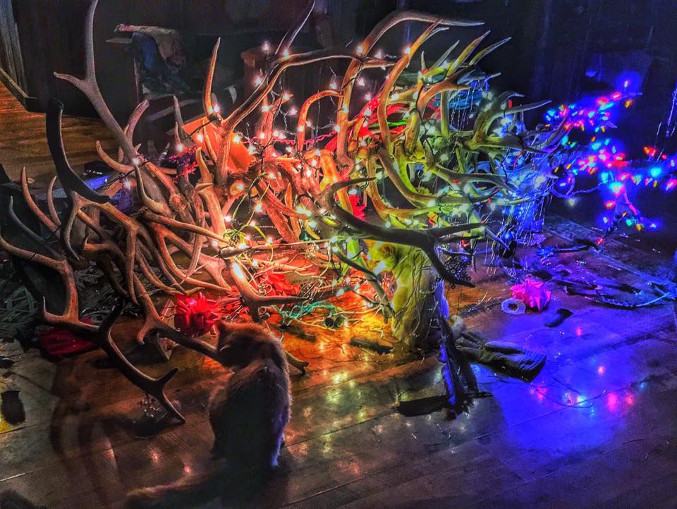 Catastrophic Christmas!